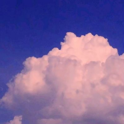 乐鱼app官网下载官方版截图