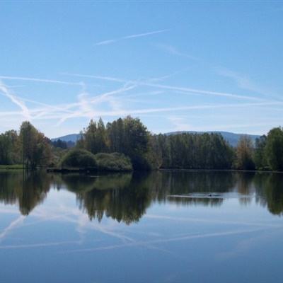 南宫28登录入口