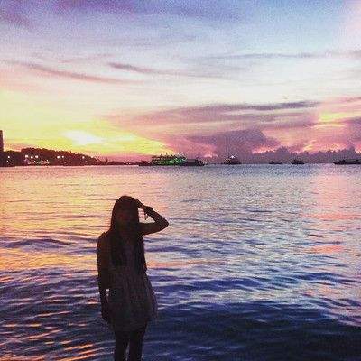 乐鱼app官网下载官方版截图