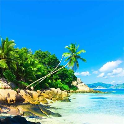 小罗米乐M6官网登录正版下载