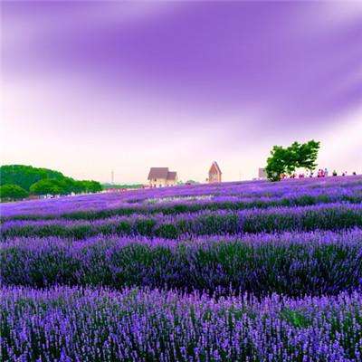 leyu·乐鱼体育app下载