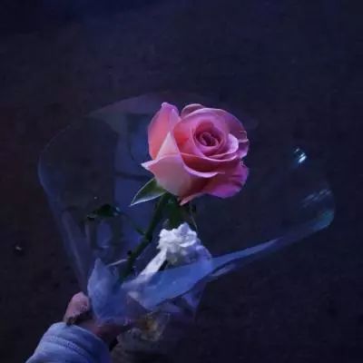 天下彩网站手机app下载