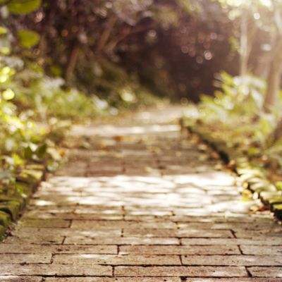 半岛网页版入口