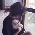 乐鱼app官网下载官方版